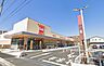 周辺：ベルク葛飾高砂店 1130m