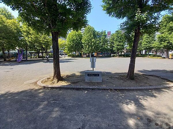 周辺を拡大表示