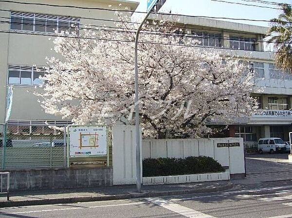 コウジィーコート箕島 ｜岡山県岡山市南区箕島(賃貸アパート2DK・2階・50.00㎡)の写真 その22