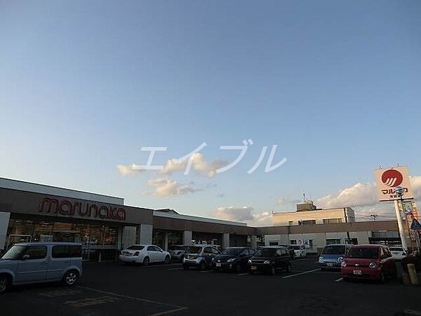 画像26:マルナカ　芳田店 1100m