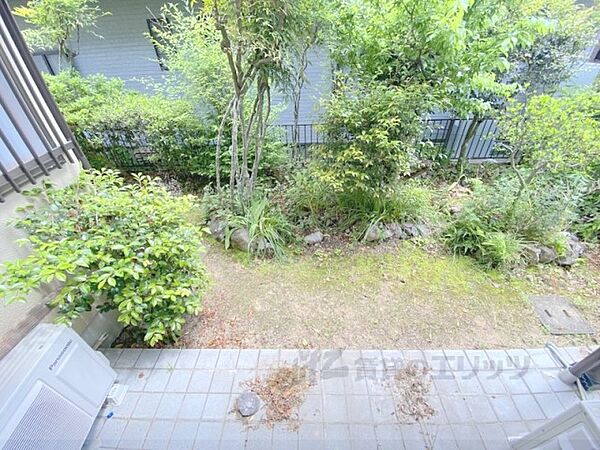画像24:庭