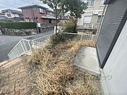 植栽