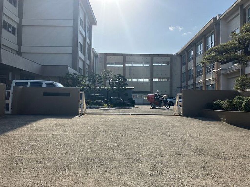 Image 6