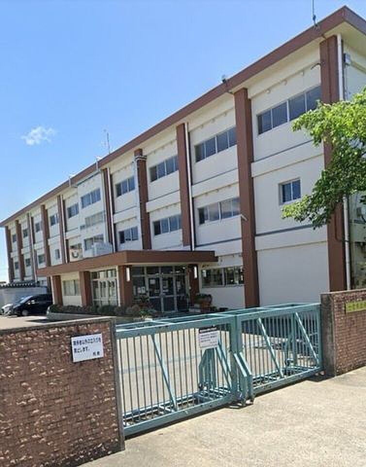 Image 7