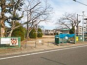 大毛公園 560m