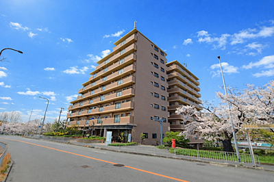 外観 外観