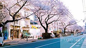 グラントゥルース桜台駅前 202 ｜ 東京都練馬区桜台１丁目2-15（賃貸マンション1K・2階・20.44㎡） その21