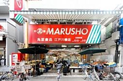 MARUSHO江戸川橋店 298m