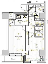 PREMIUM CUBE 両国DEUX 4階1LDKの間取り