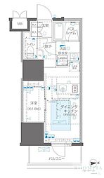 ZOOM信濃町 1DKの間取図画像