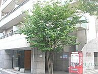 東京都杉並区梅里2丁目26-9：物件画像／株式会社アンビション・エージェンシー　新宿東口店