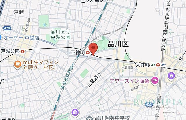 地図