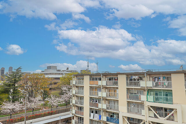 その他 最上階ルーフバルコニー付〜マンハイム大島・5階部分〜 5階/-