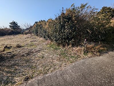 外観：畑・農地としてお使いいただけます。約150坪と広々としています。趣味や副業にいかがでしょうか。