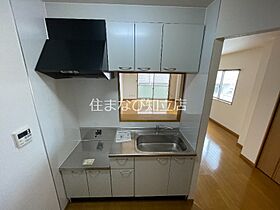 パームタウン新安城  ｜ 愛知県安城市今池町1丁目（賃貸マンション1R・3階・47.21㎡） その9