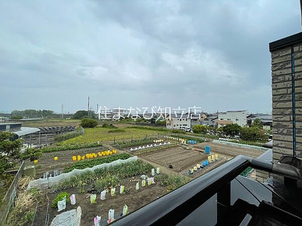 ロックハウス ｜愛知県安城市古井町十王堂(賃貸マンション2LDK・2階・58.01㎡)の写真 その27