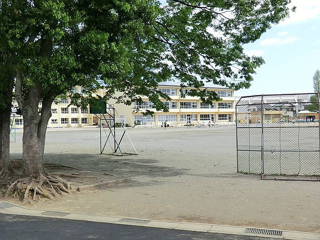 Image 31