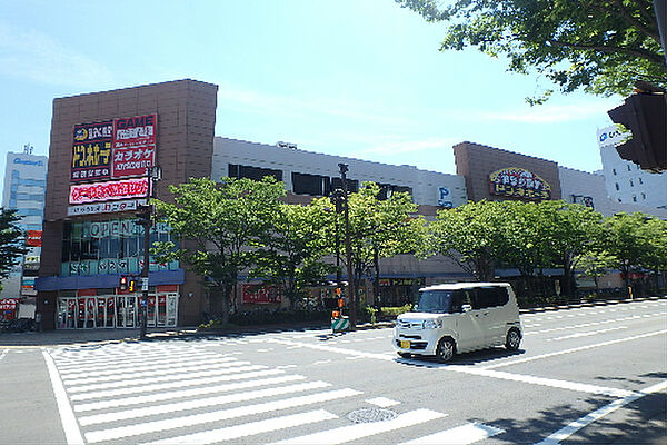 画像17:ドン・キホーテ 新潟駅南店（254m）