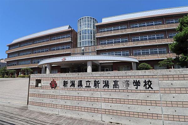 画像22:新潟県立新潟高等学校（487m）