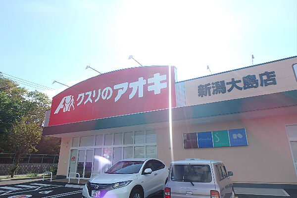 画像18:クスリのアオキ 新潟大島店（376m）