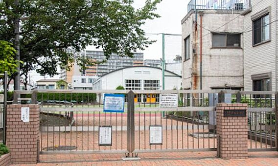 亀田小学校 1...
