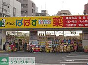 どらっぐぱぱす石原店 徒歩13分。ドラックストア 1040m