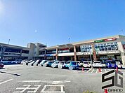 ウエルシア大井松田インター店 徒歩20分。ドラッグストアが整い、薬や日用品を気軽に購入できる便利な暮らしを叶えます。 1540m