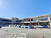 食品館あおば大井松田店 徒歩11分。徒歩14分。スーパーが揃い、毎日の買い物がスムーズ。新鮮な食材で家族の食卓を支えます。 870m