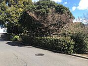 井野ふれ愛公園 550m