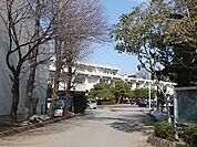 小中台中学校 250m