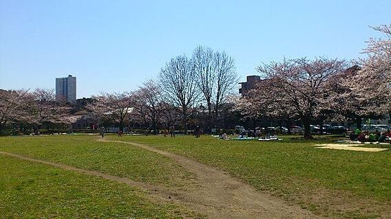 稲毛東公園 1...
