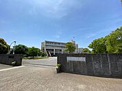 香澄小学校 730m