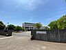 周辺：香澄小学校 730m
