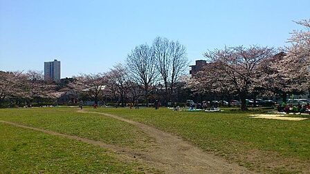 長沼原東公園 1520m