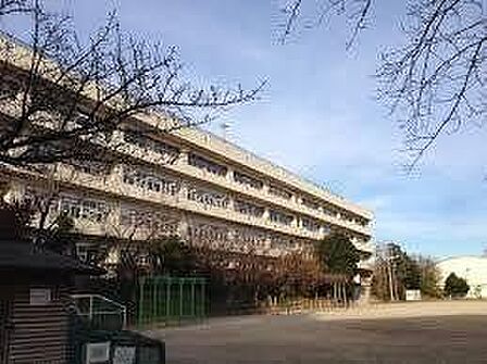 金杉台小学校 1130m