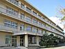 周辺：高浜中学校 1010m