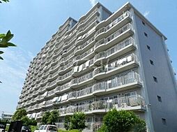 津田沼ハイツ