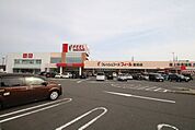 フィール　富田店