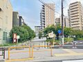 白鳥南公園 1...