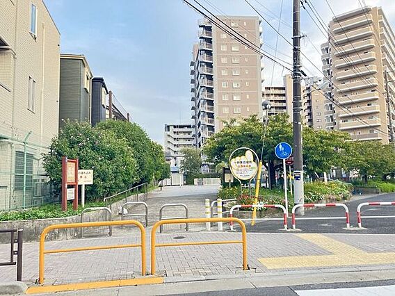 白鳥南公園 1...