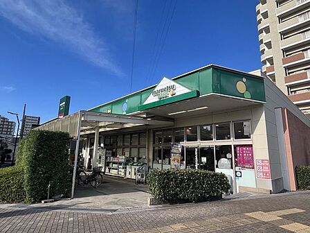 マルエツ プチ 新小岩店 490m