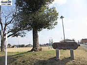 ひまわり公園 2020m