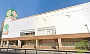 ライフ夙川店 912m