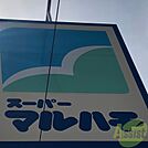 マルハチ立花店 934m
