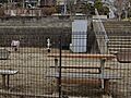 桜木町公園 6...