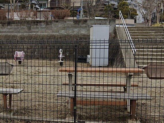 桜木町公園 6...