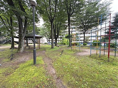 敷地内には公園がございます。
