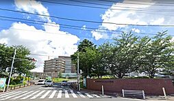 SERDINA（セルディーナ）
