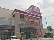 かましんカルナ駅東店（282m）
