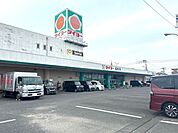 タイヨー桜町店 800m